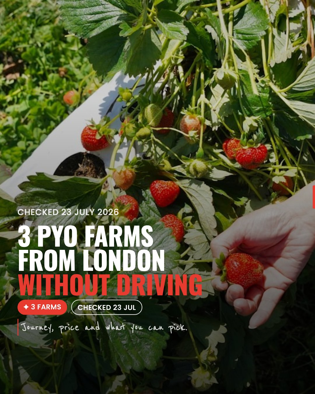 PYO Farms Near London Without a Car